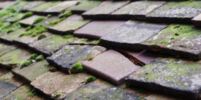 Shenington roof repair costs